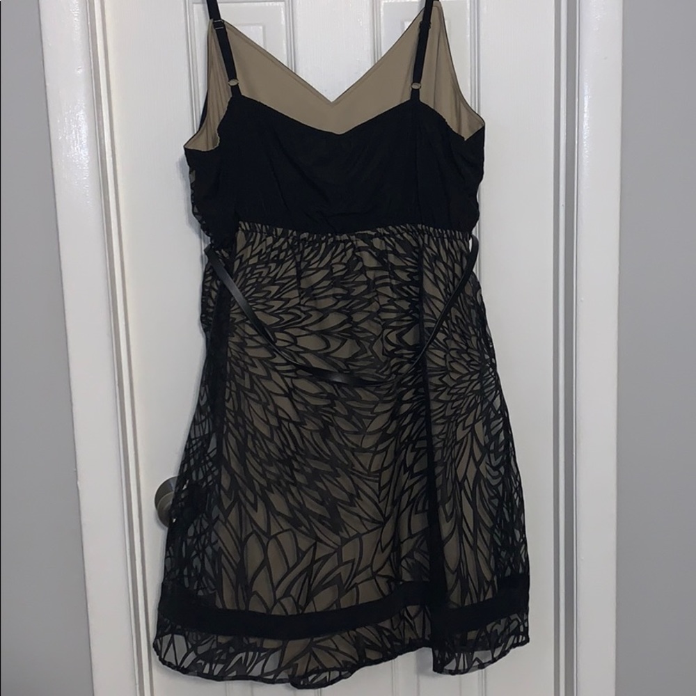 Lane Bryant black tan tulle belted dress 18/20 - Picture 6 of 6